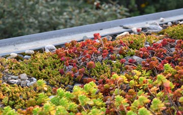 the cost of Metal Bridge green roof installation