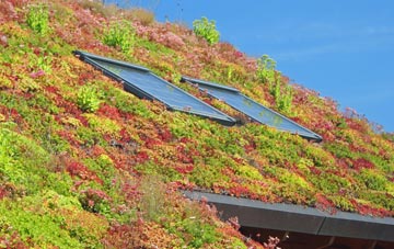 Metal Bridge living roof systems